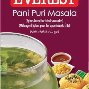 EVEREST PANI PURI MASALA 100G